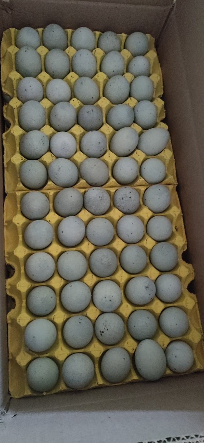 湖南特大松花皮蛋批发无铅工艺，口感好，湖南胜品蛋业出品
