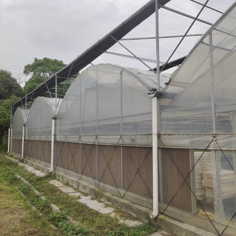 外遮阳连栋大棚花卉简易大棚温室连栋骨架棚薄膜蔬菜成套大棚