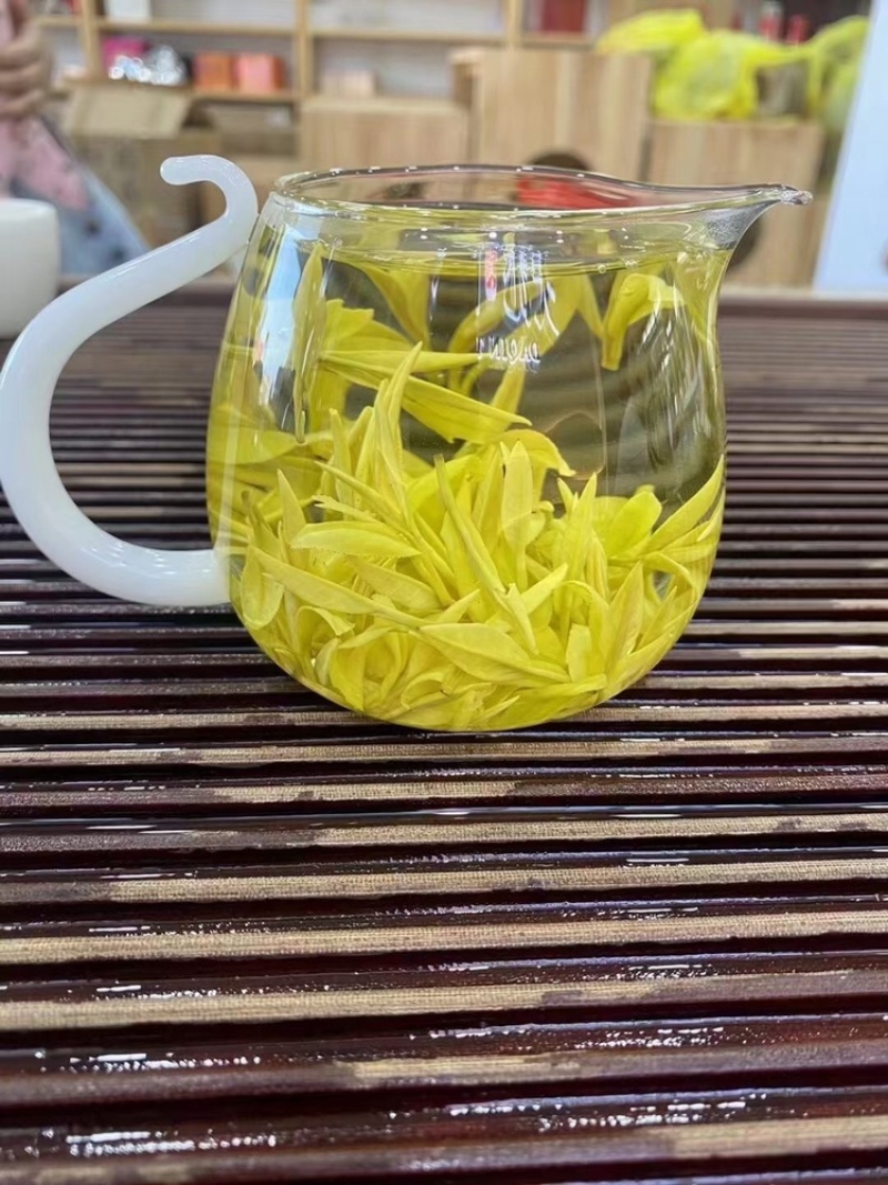 2024新茶上架头春黄金白茶，芽头肥壮均匀。
