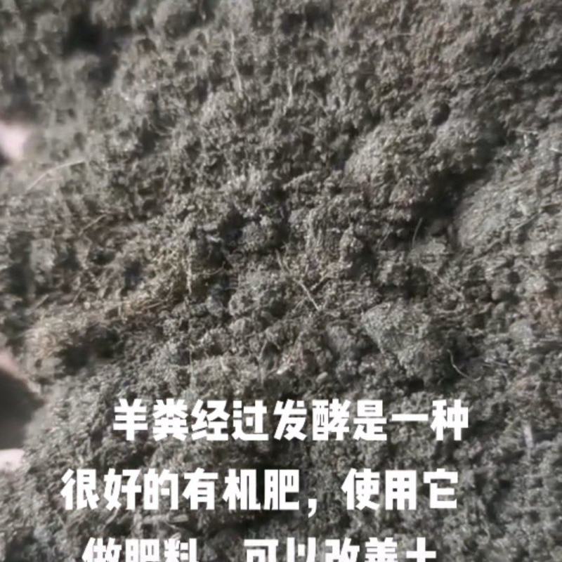 甘肃古浪黄花滩发酵纯羊粪量大从优货量稳定欢迎订购