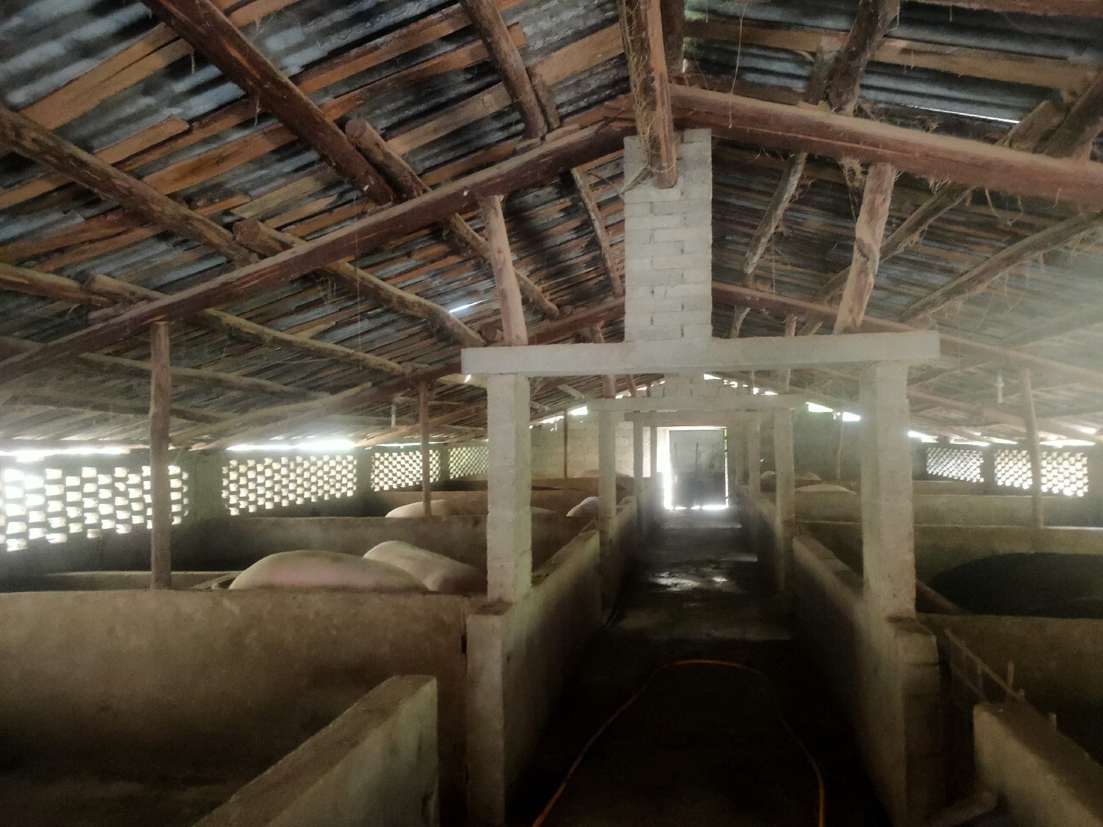 现代化生猪养殖环境控制系统示意图