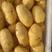 平阴三模土豆荷兰十五土豆大量上市基地直供一手货源