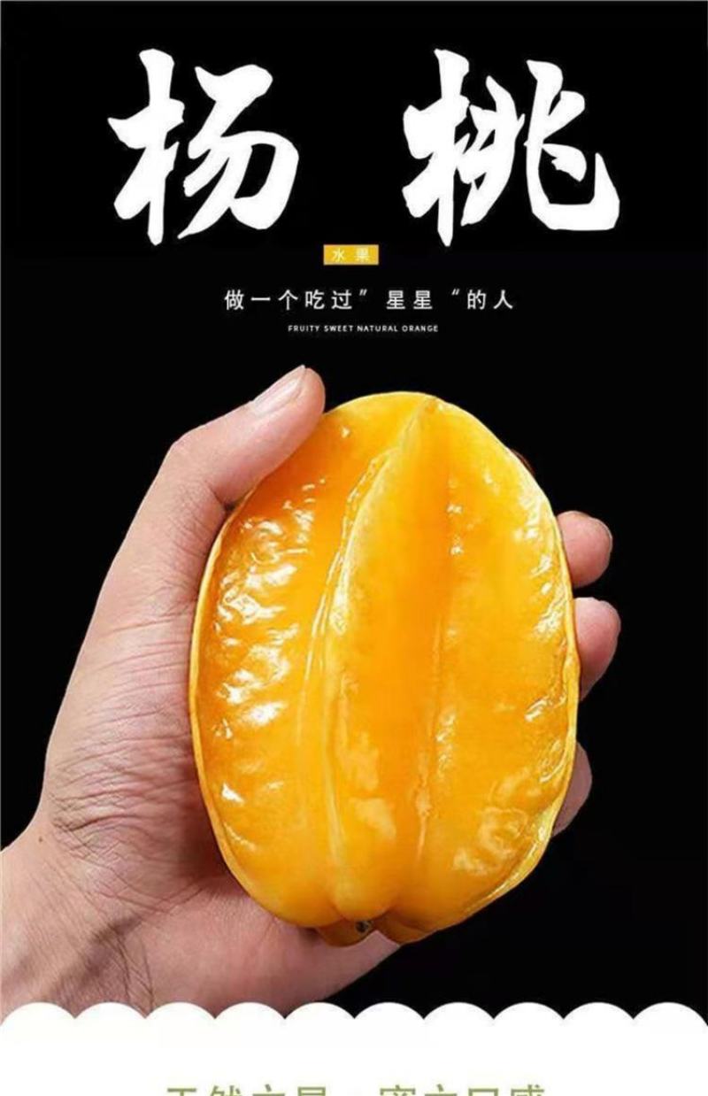 福建漳州杨桃现摘现发，货源充足，淮玉果香基地直供