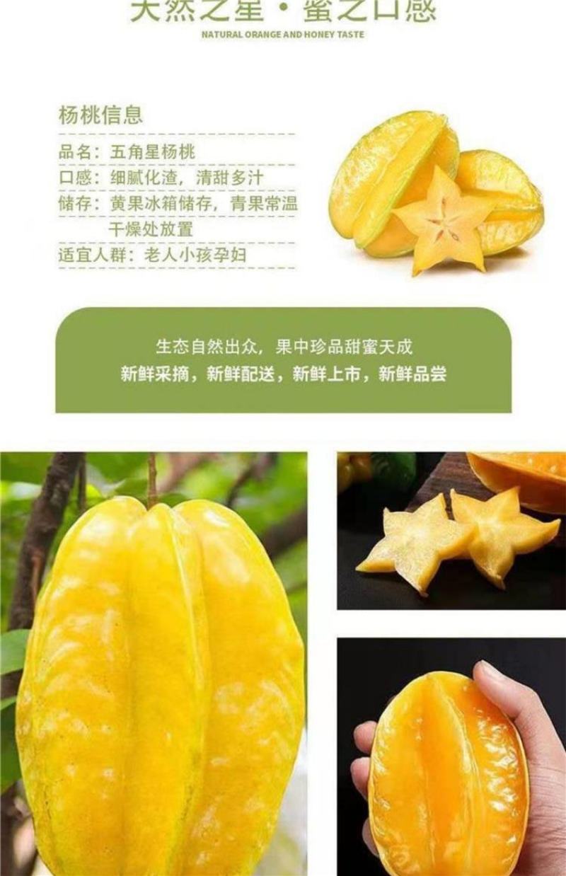 福建漳州杨桃现摘现发，货源充足，淮玉果香基地直供