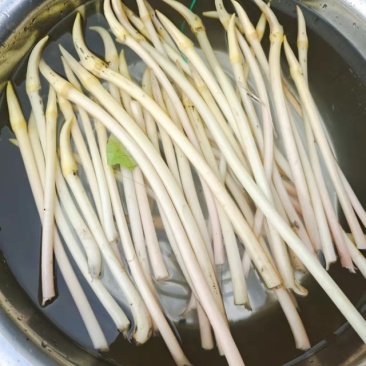 精品藕带