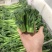 精品西兰苔，产地直销，质量保证，价格美丽