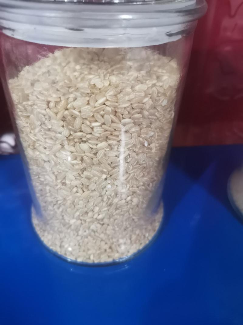 糙米珍珠糙米五谷杂粮粗粮粳米三色糙米糙胚芽米大米