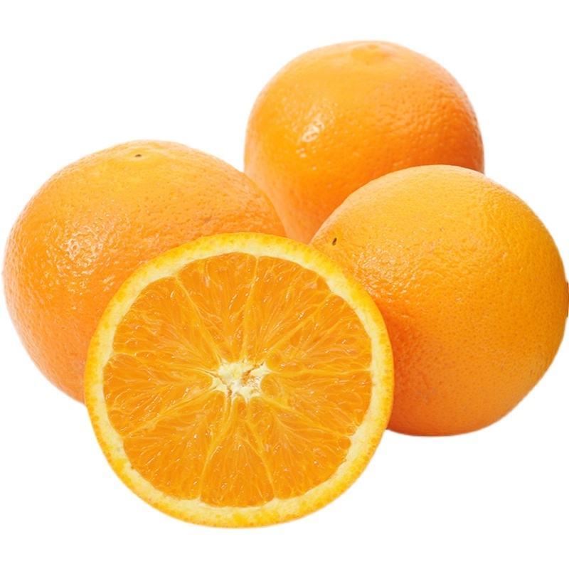精品脐橙伦晚产地橙子，看货论价，优质柑橘，欢迎订购