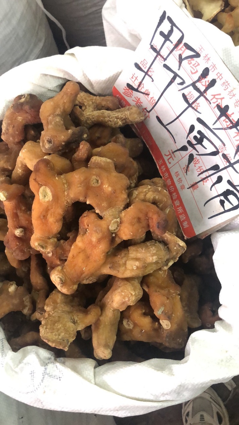 姜黄精大量供应广西产地直销质量有保证货源充足全国发货