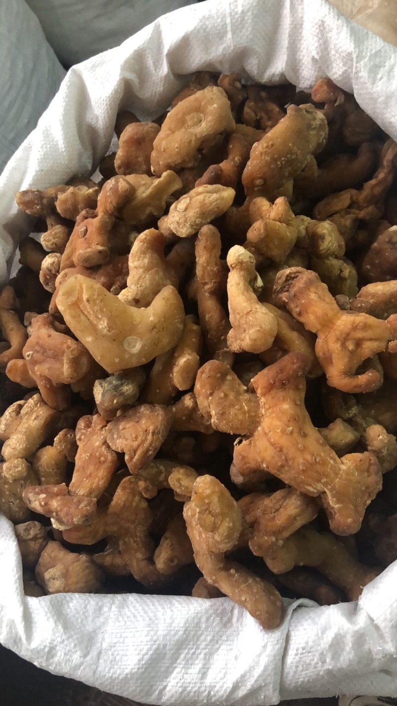 姜黄精大量供应广西产地直销质量有保证货源充足全国发货