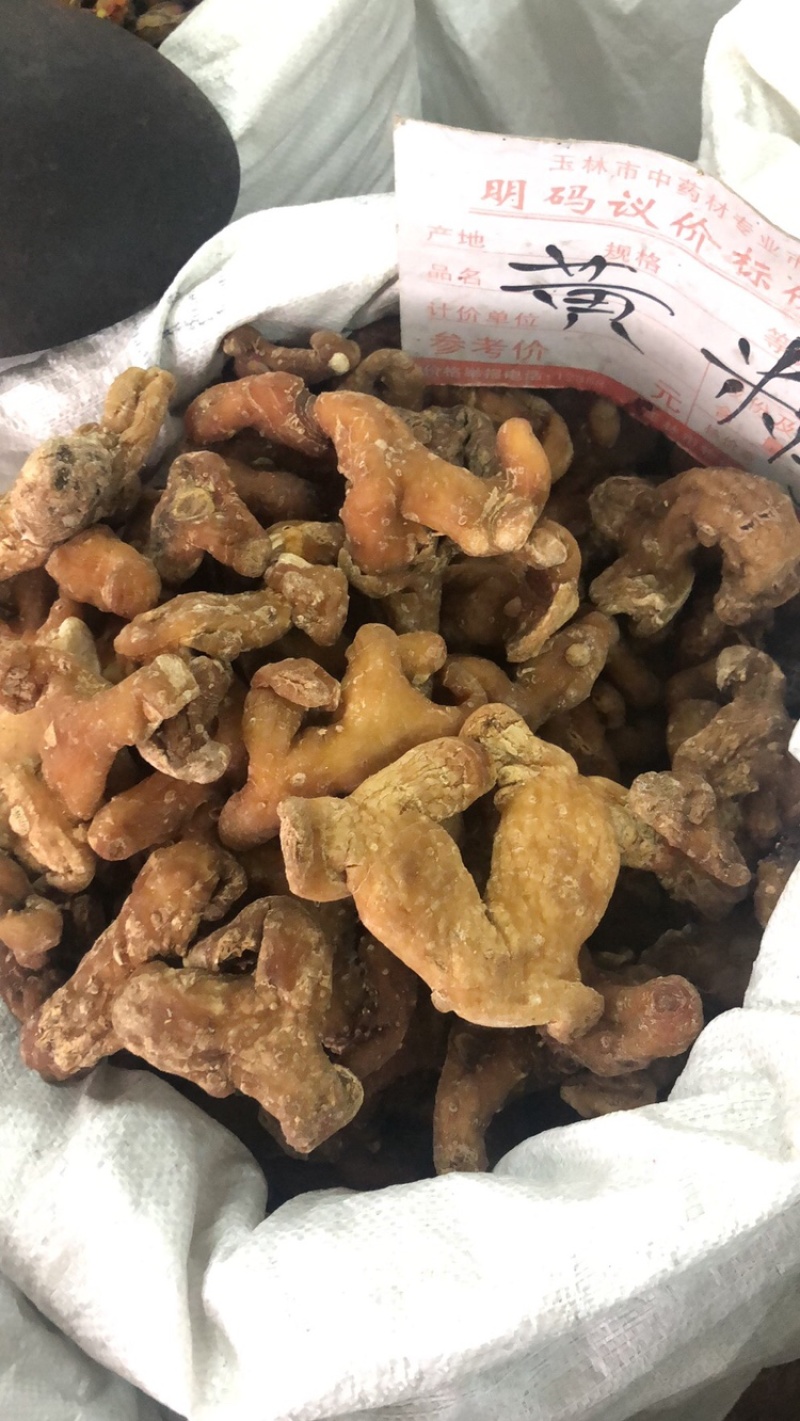姜黄精大量供应广西产地直销质量有保证货源充足全国发货