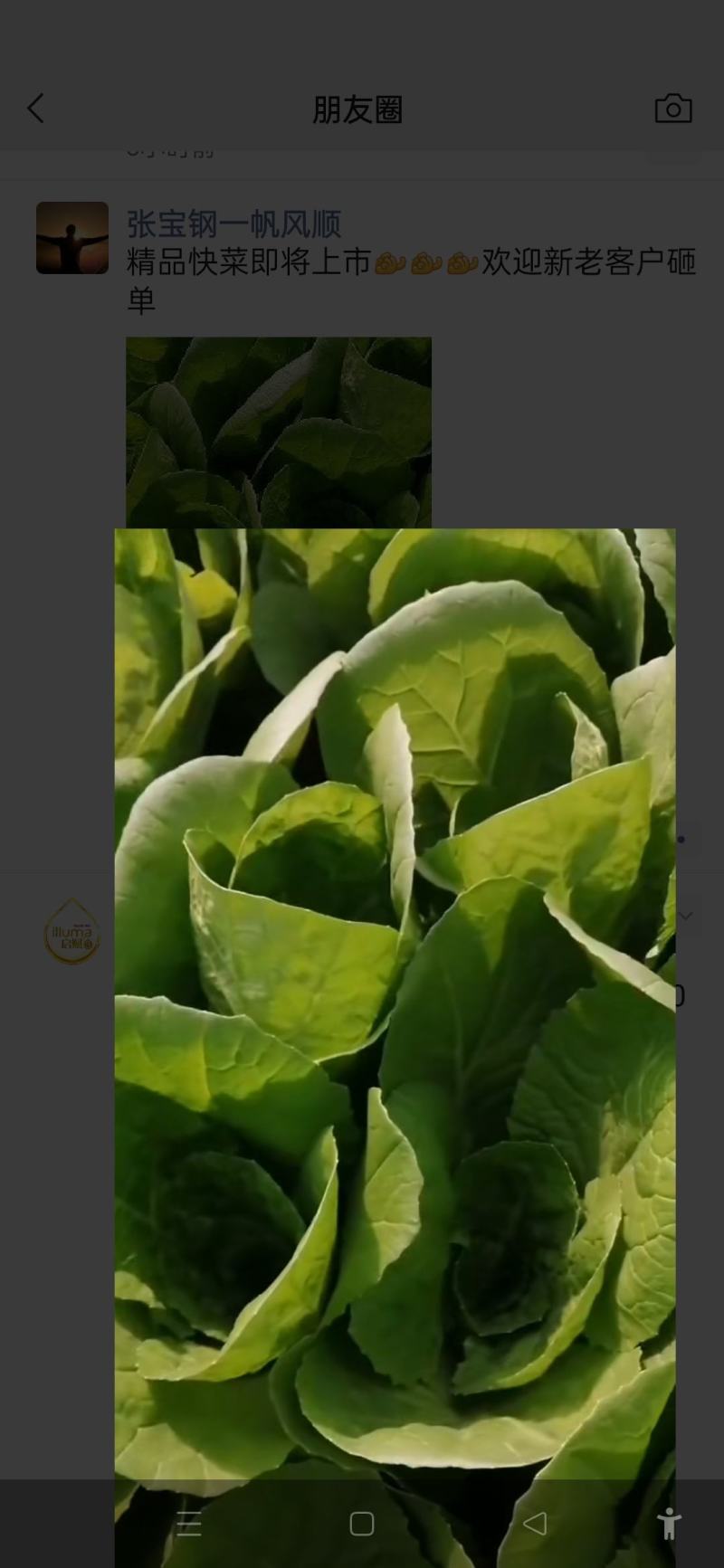 蔬菜