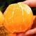 伦晚脐橙湖北橙子柑桔产地直发看货论价，保质保量