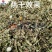蒲公英烘干机多功能黄花地丁婆婆丁华花郎黄黄苗脱水干燥机