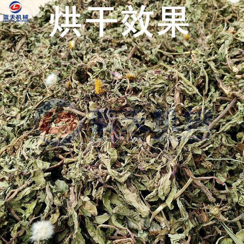 蒲公英烘干机多功能黄花地丁婆婆丁华花郎黄黄苗脱水干燥机