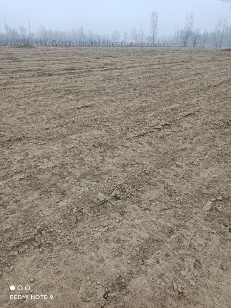 土地出租