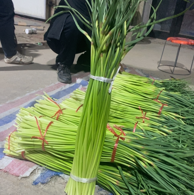 干苔、不泡水，净杆60-70公分，红帽、白帽蒜薹大量上市