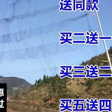 防鸟网