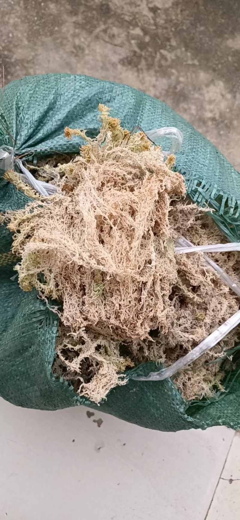 水苔苔藓，干度80以上现货10吨左右，需要的老板来聊