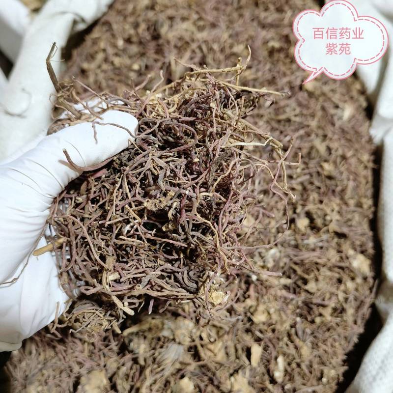 紫苑实图拍摄今年新货重在品质当天发货欢迎选购