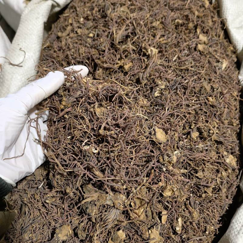 紫苑实图拍摄今年新货重在品质当天发货欢迎选购
