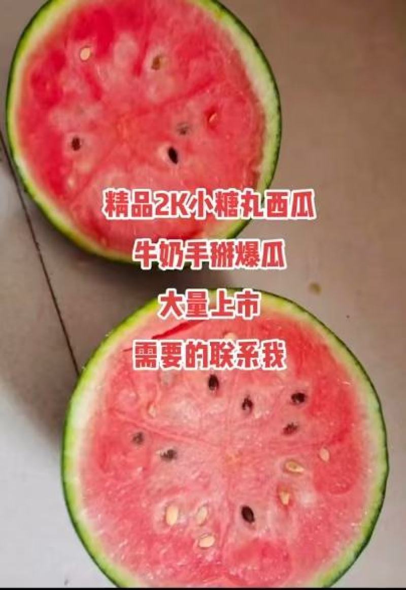 各种新品蔬菜大量上市，欢迎老板前来采购