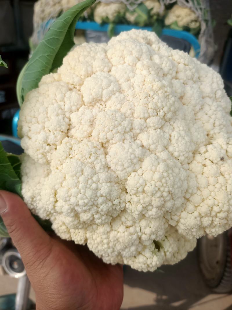 松花