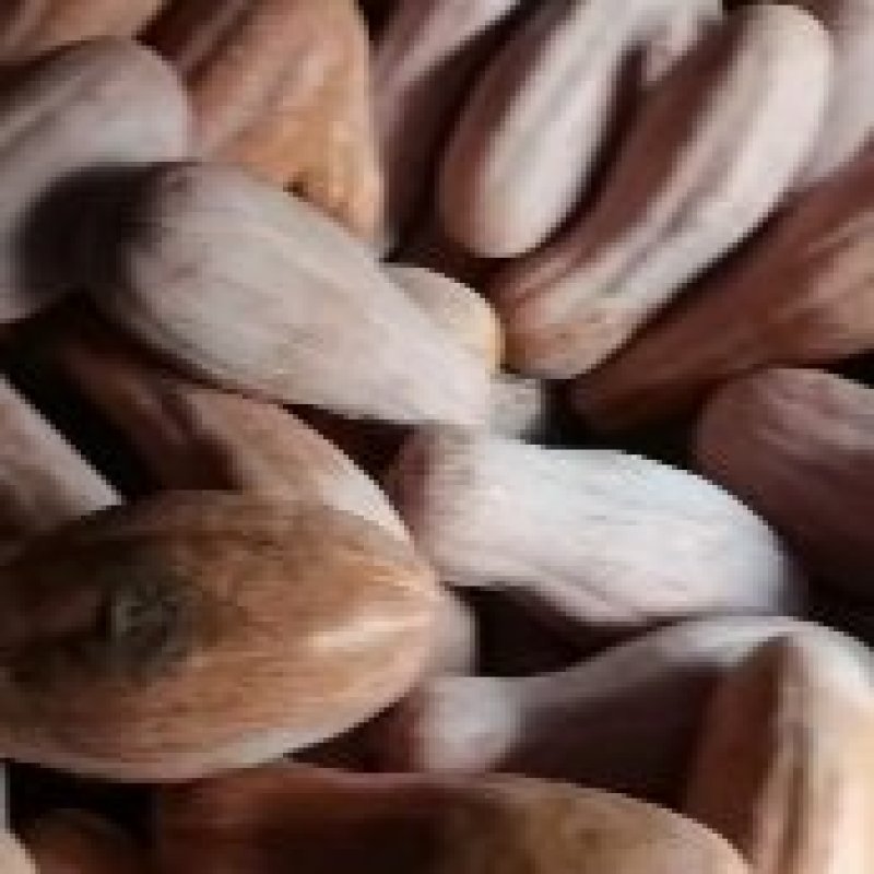 江苏蜜本南瓜江苏南瓜颜色鲜艳土生土长一手货源