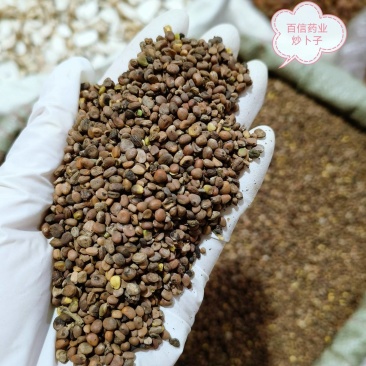 炒莱菔物美价廉重在品质欢迎选购当天发货一手货源