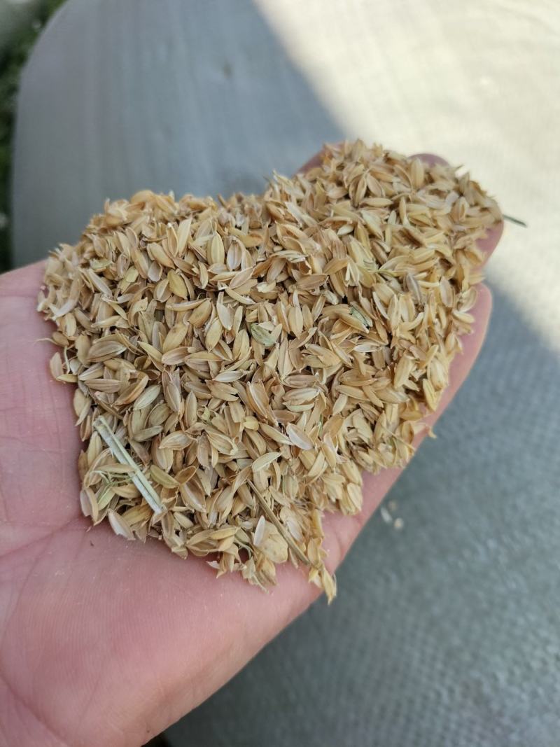 除尘稻壳，优质稻壳，质量保证，