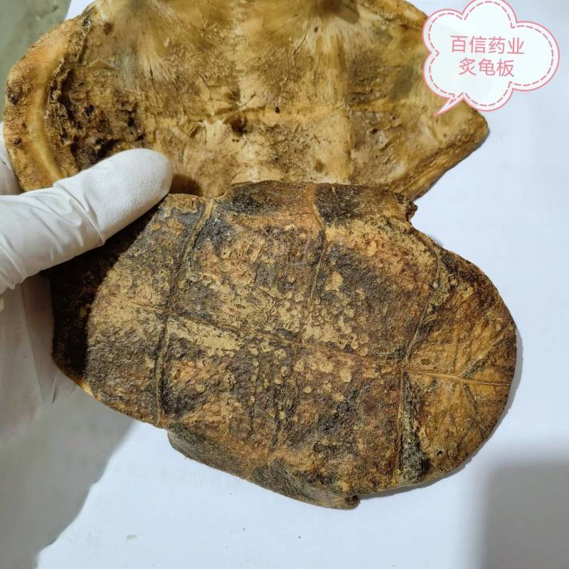 醋炙龟板物美价廉货源充足欢迎选购当天发货颜色好