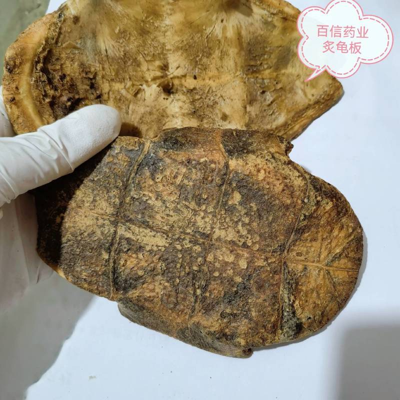 醋炙龟板物美价廉货源充足欢迎选购当天发货颜色好