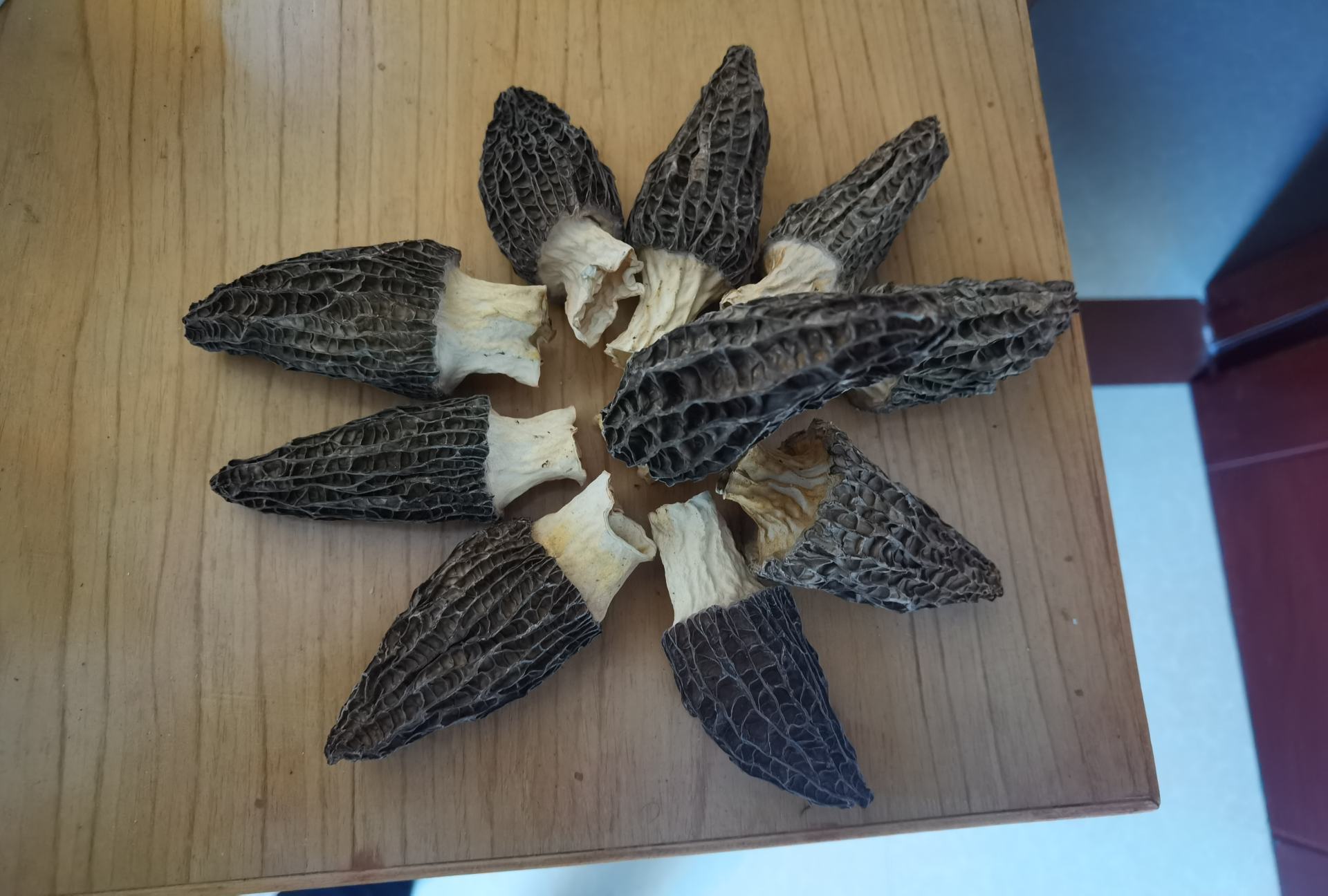 羊肚菌特写近照