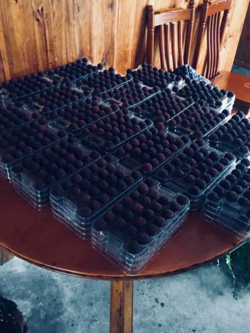 浙江慈溪笋岙杨梅一件代发空运冷冻链诚信合作