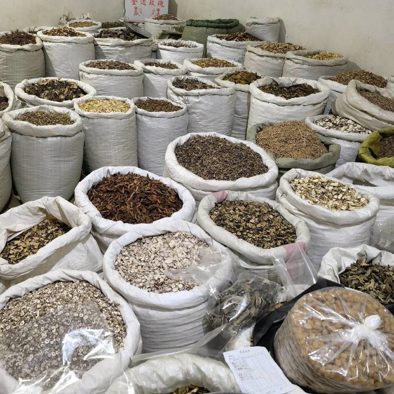 平贝母实图拍摄今年新货物美价廉产地采购货源充足