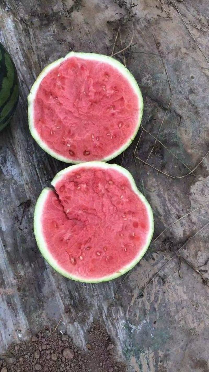 西瓜