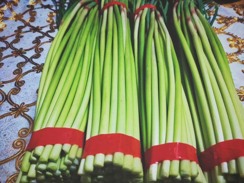 邳州精品小红帽蒜苔苔绿无瘢痕适合每个市场