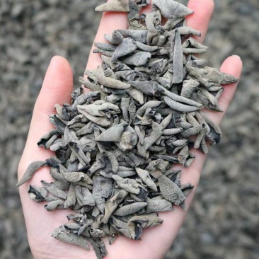 广州人A精品老鼠耳黑木耳1.0规格足干一件代发批发批发