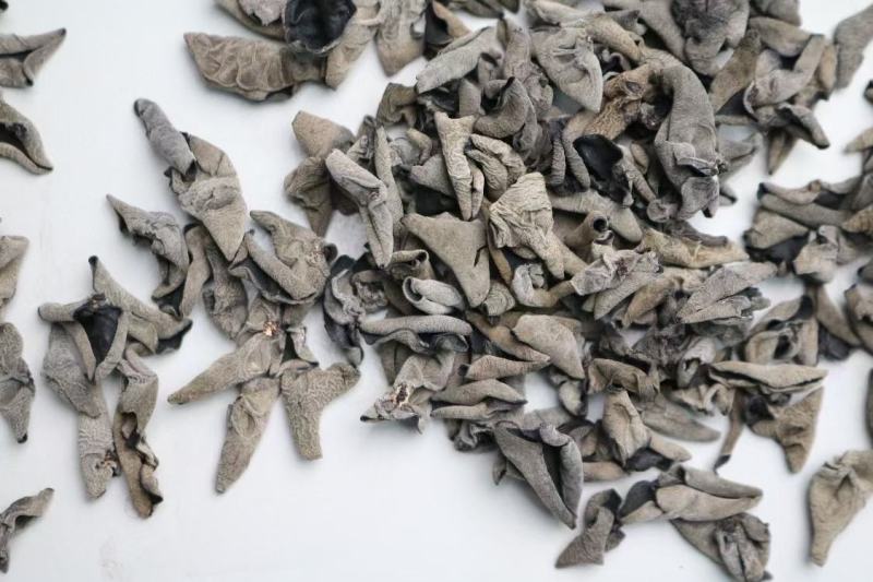 广州人A精品老鼠耳黑木耳1.0规格足干一件代发批发批发