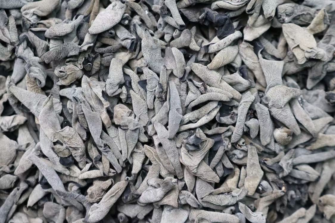 黑木耳正常与异常对比图