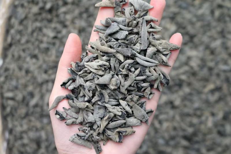 广州人A精品老鼠耳黑木耳1.0规格足干一件代发批发批发