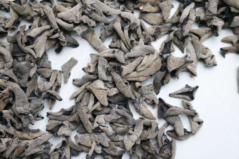 广州人A精品老鼠耳黑木耳1.0规格足干一件代发批发批发