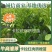 卡拉卡拉红肉脐橙苗，包正宗假一赔十，提供免费种植技术