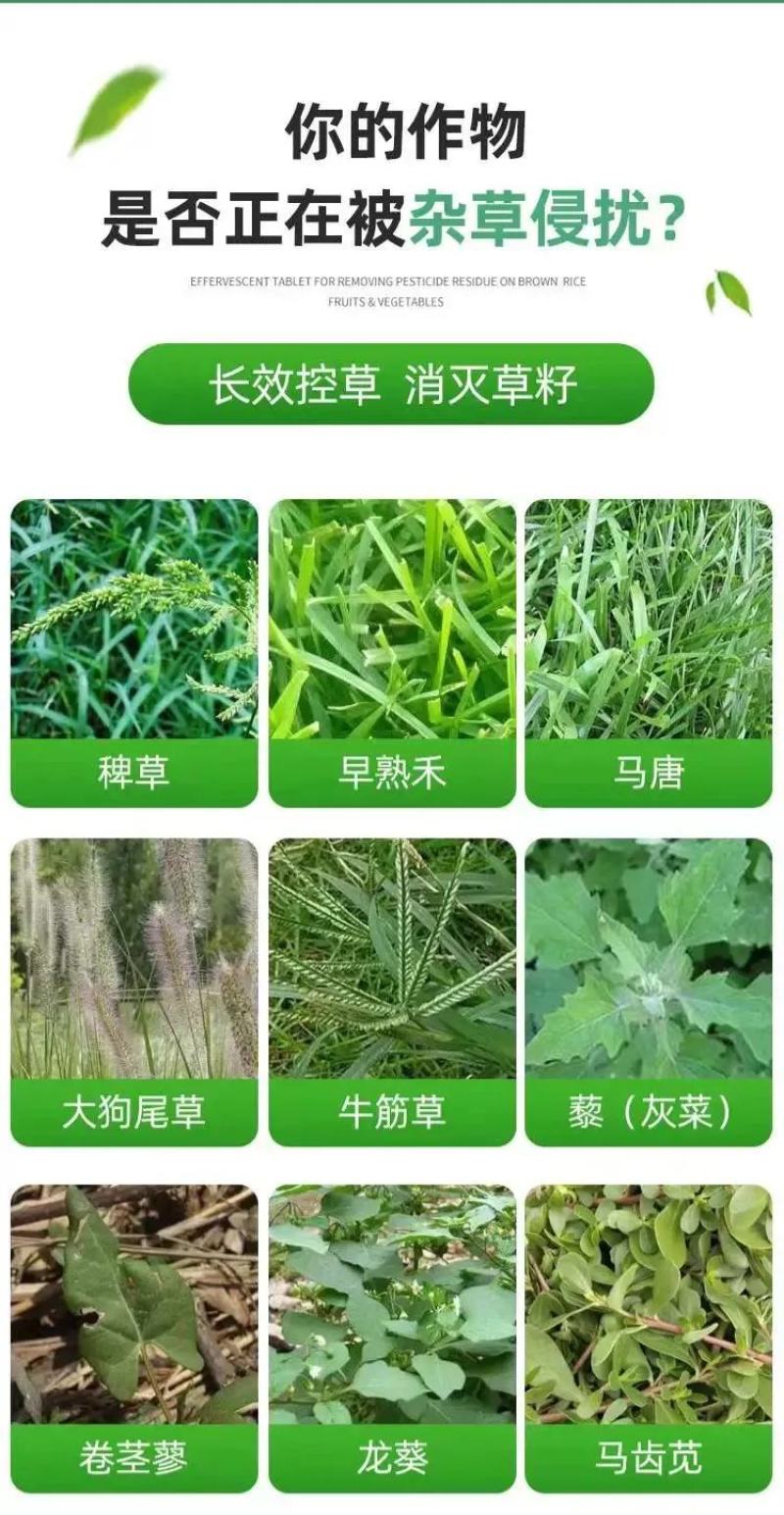 迈火除草剂除草不伤根系10%敌草快二氯盐