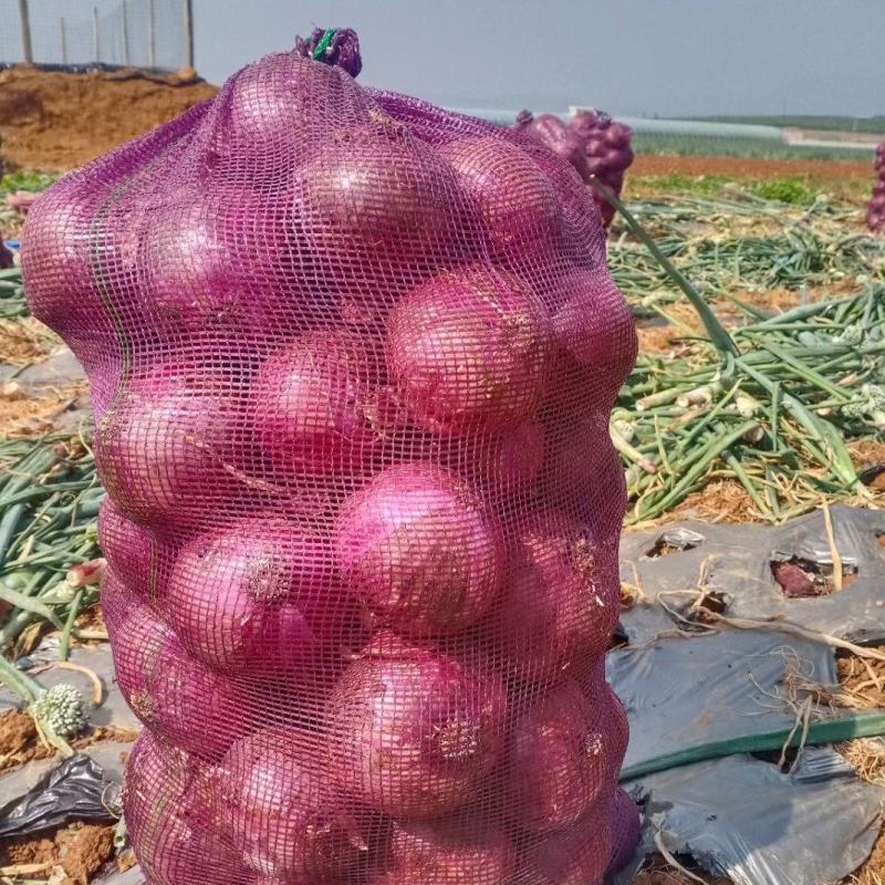 洋葱红皮大量有货电商平台可以合作