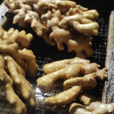 昌邑大姜