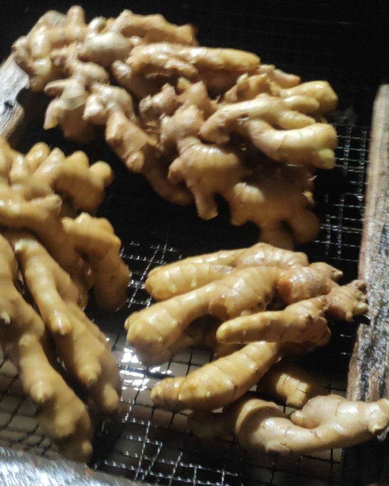 昌邑大姜