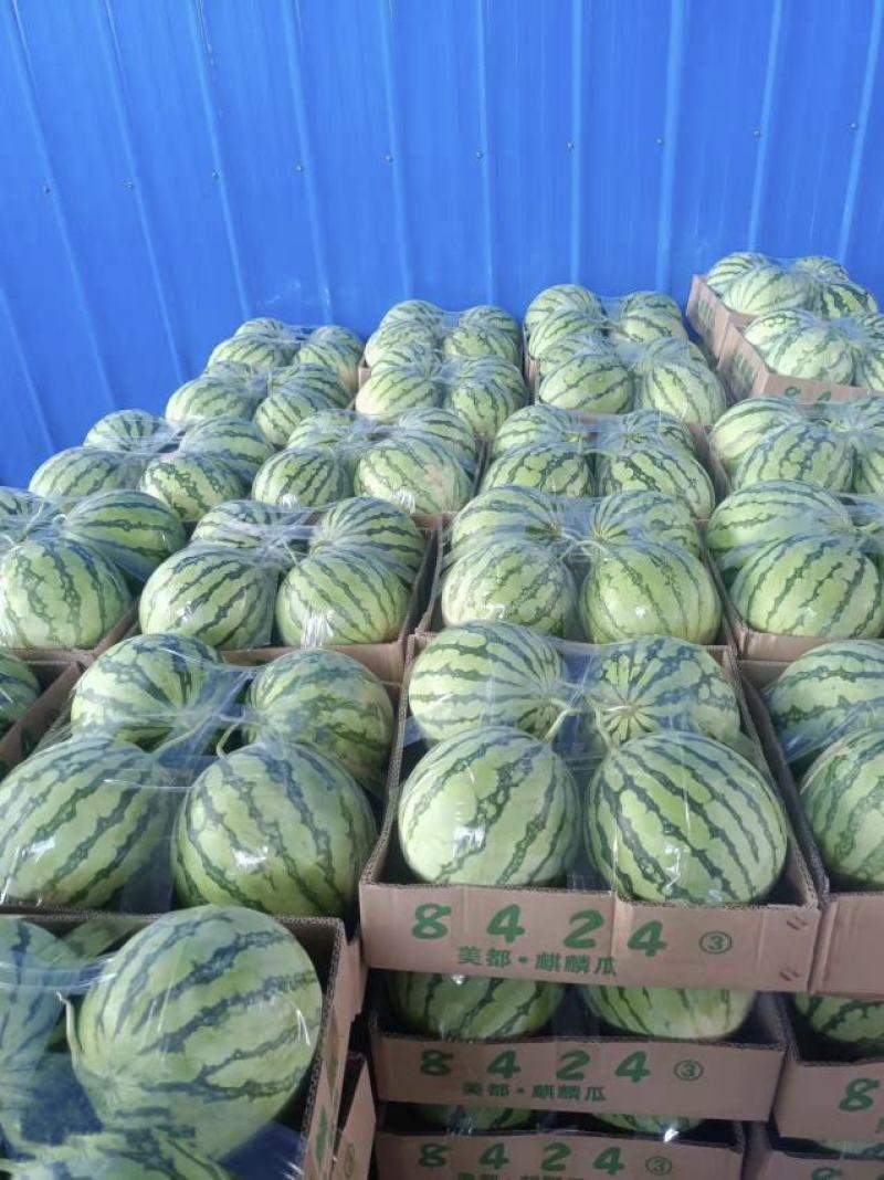 【有好货】美都西瓜8424麒麟瓜大量上市稳定货源大量供应