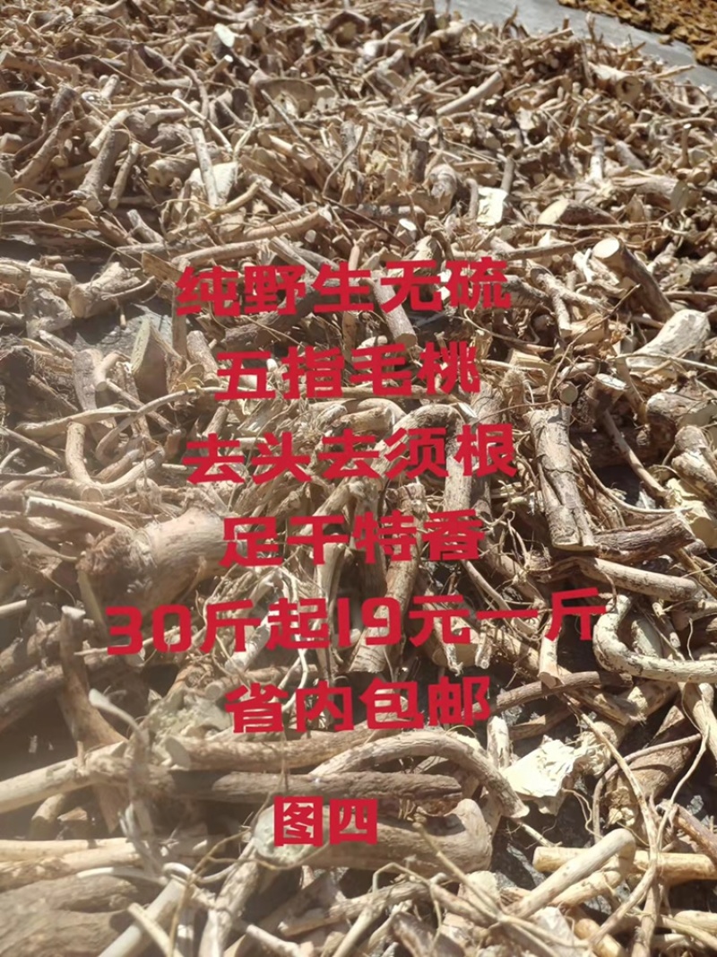 五指毛桃（本地野生的）特香10月新货、没有硫磺、省内包邮