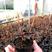 海南石蚕金线莲公石松、血叶兰林下种植带盆批发.可繁殖再生